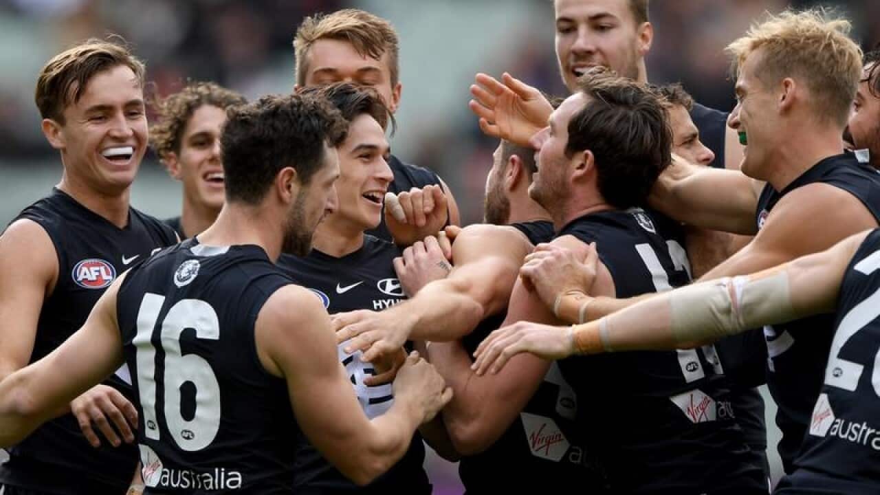 Carlton teammates celebrate their AFL.