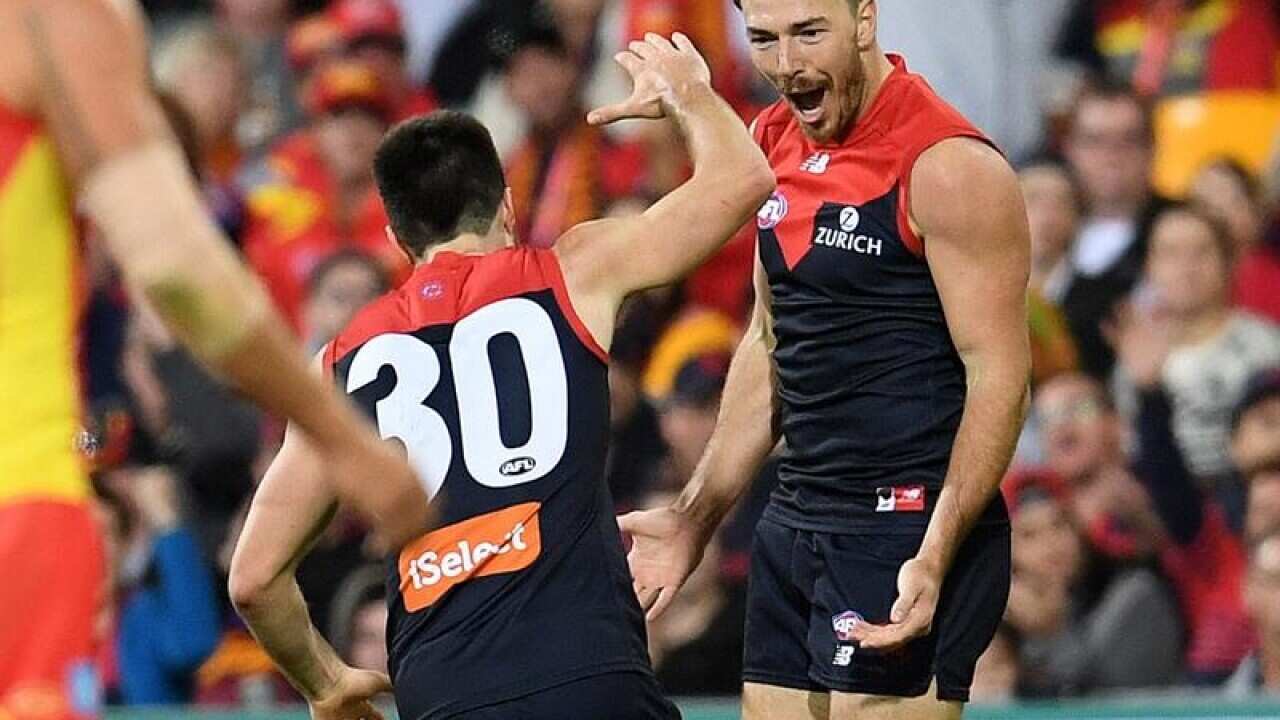 Michel Hibberd of the Demons celebrates scoring a goal.