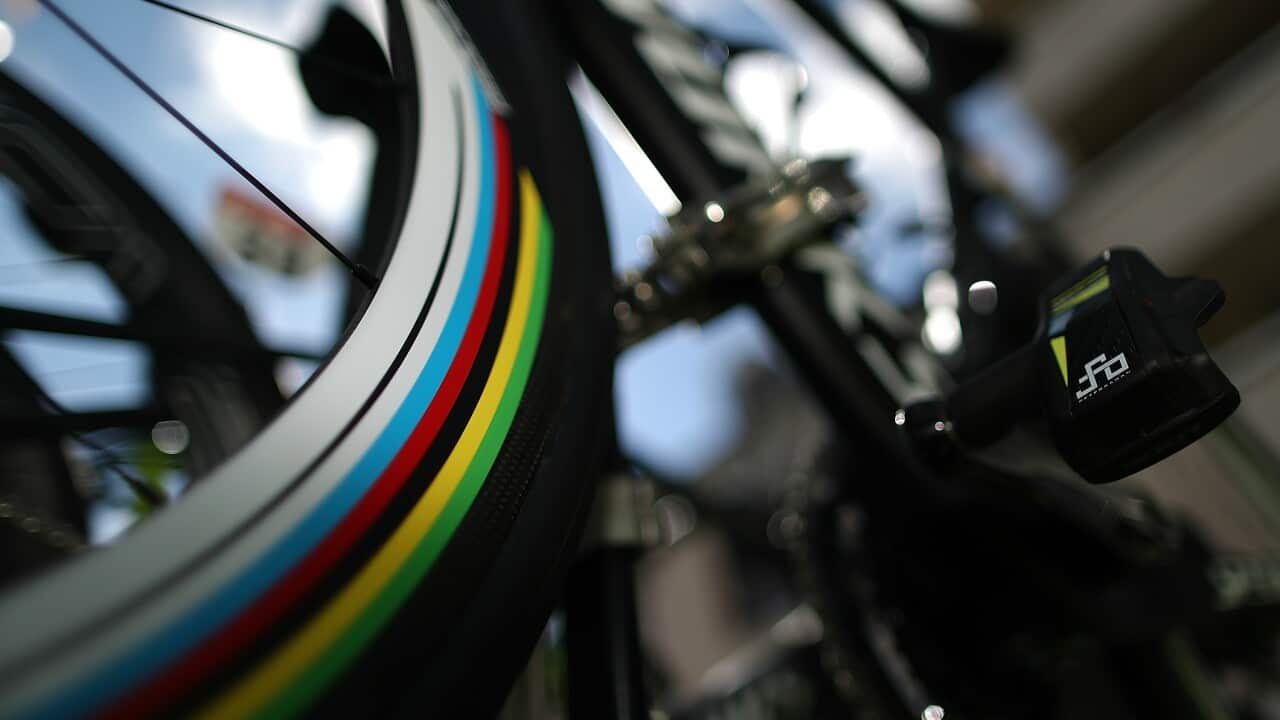 The world champ may well be back at the fore today...