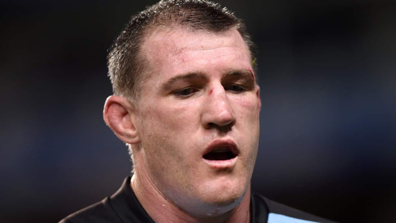 Paul Gallen of the Sharks