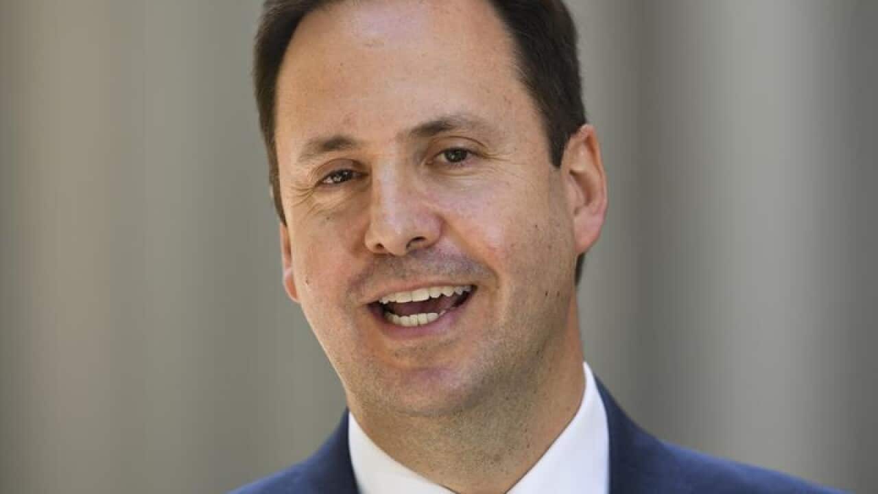 Australian Trade Minister Steve Ciobo at Parliament House.