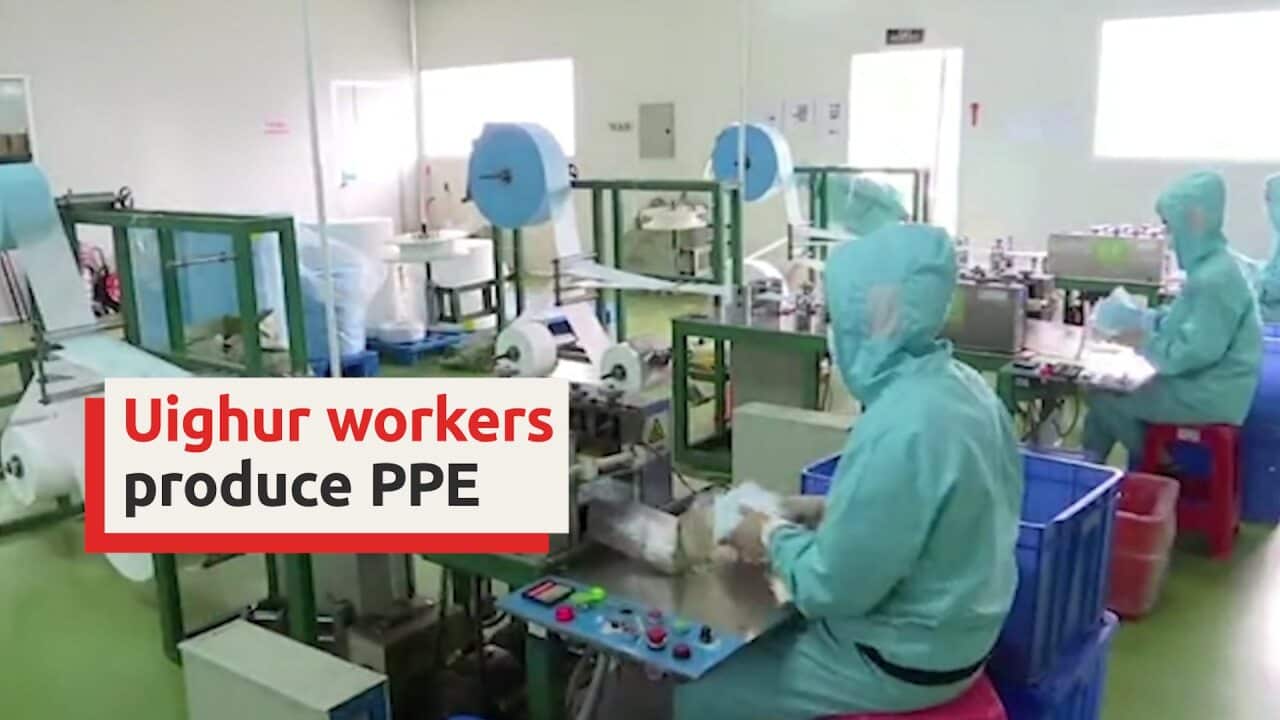 A Times video investigation identified Chinese companies using a contentious labor program for Uighurs to satisfy demand for PPE (via New York Times)