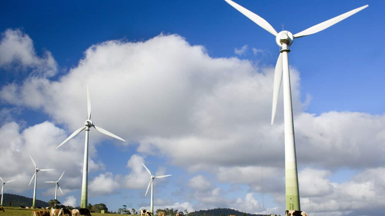 Wind turbines of Windy Hill Wind Farm in the Atherton Tablelands, Queensland