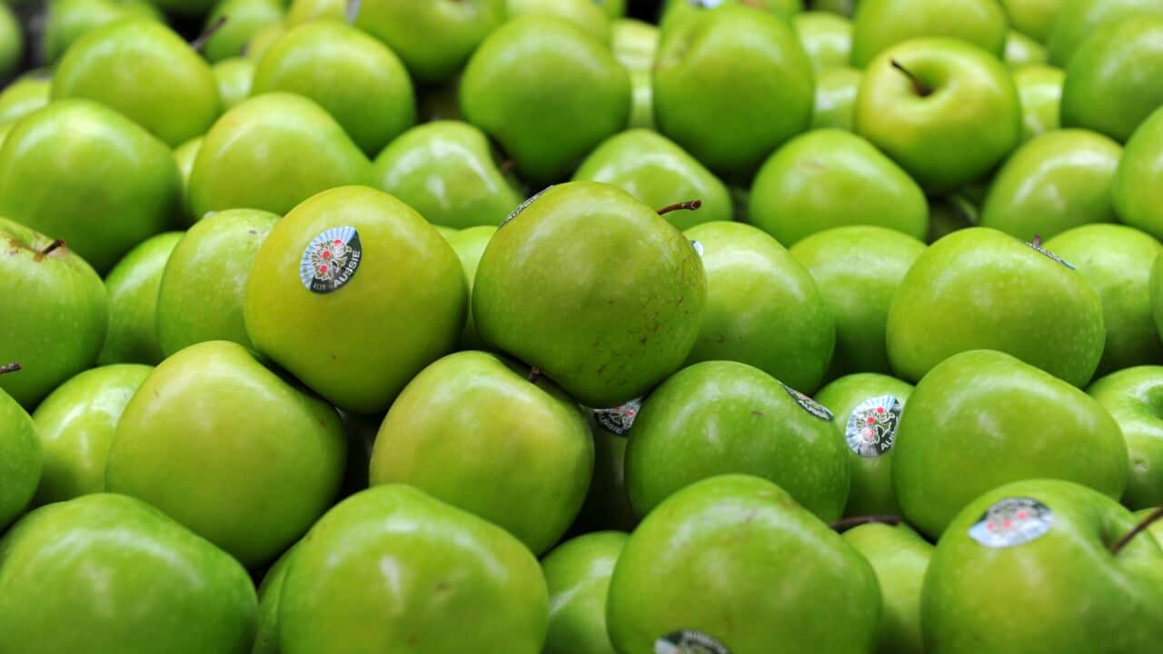 Image for read more article 'READ MORE'