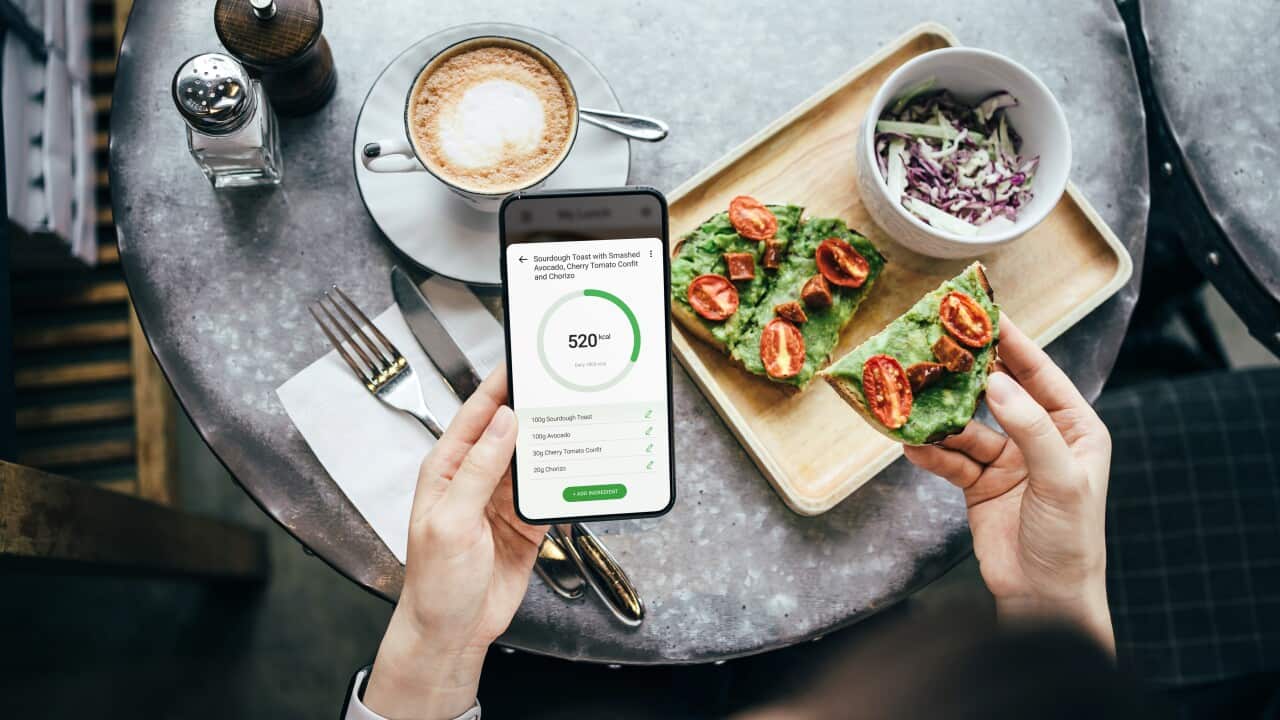 Overhead view of young Asian woman using fitness plan mobile app on smartphone to tailor make her daily diet meal plan, checking the nutrition facts and calories intake of her meal, sourdough toast with smashed avocado and cherry tomatoes in a restaurant