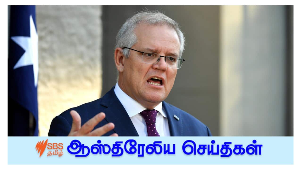 News and Current affairs