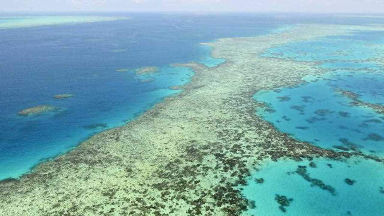 Leading climate scientists say Australia's politicians have a responsibility to help protect the Great Barrier Reef.