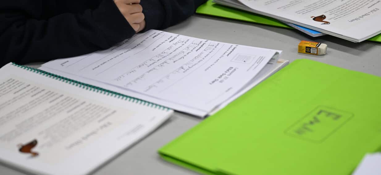 Low-income families call for support as national reading, writing school results slip