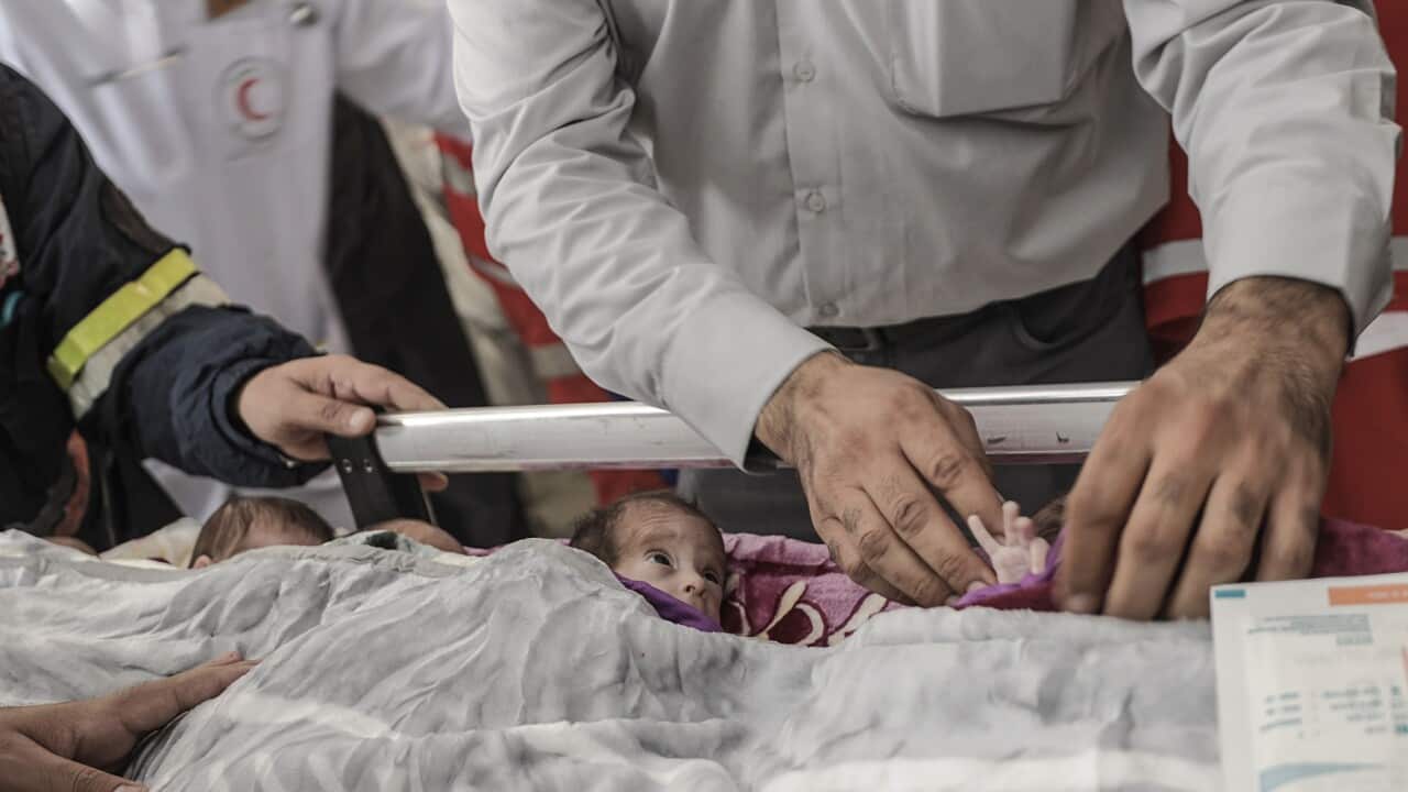 Health personnel prepare premature babies to be transferred to Egypt after they were evacuated from Gaza’s Al-Shifa hospital (AAP)