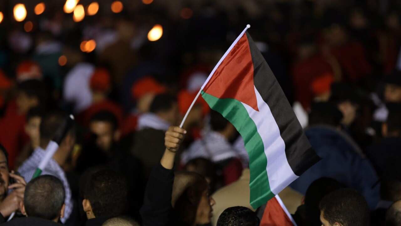 File image of Palestine flag