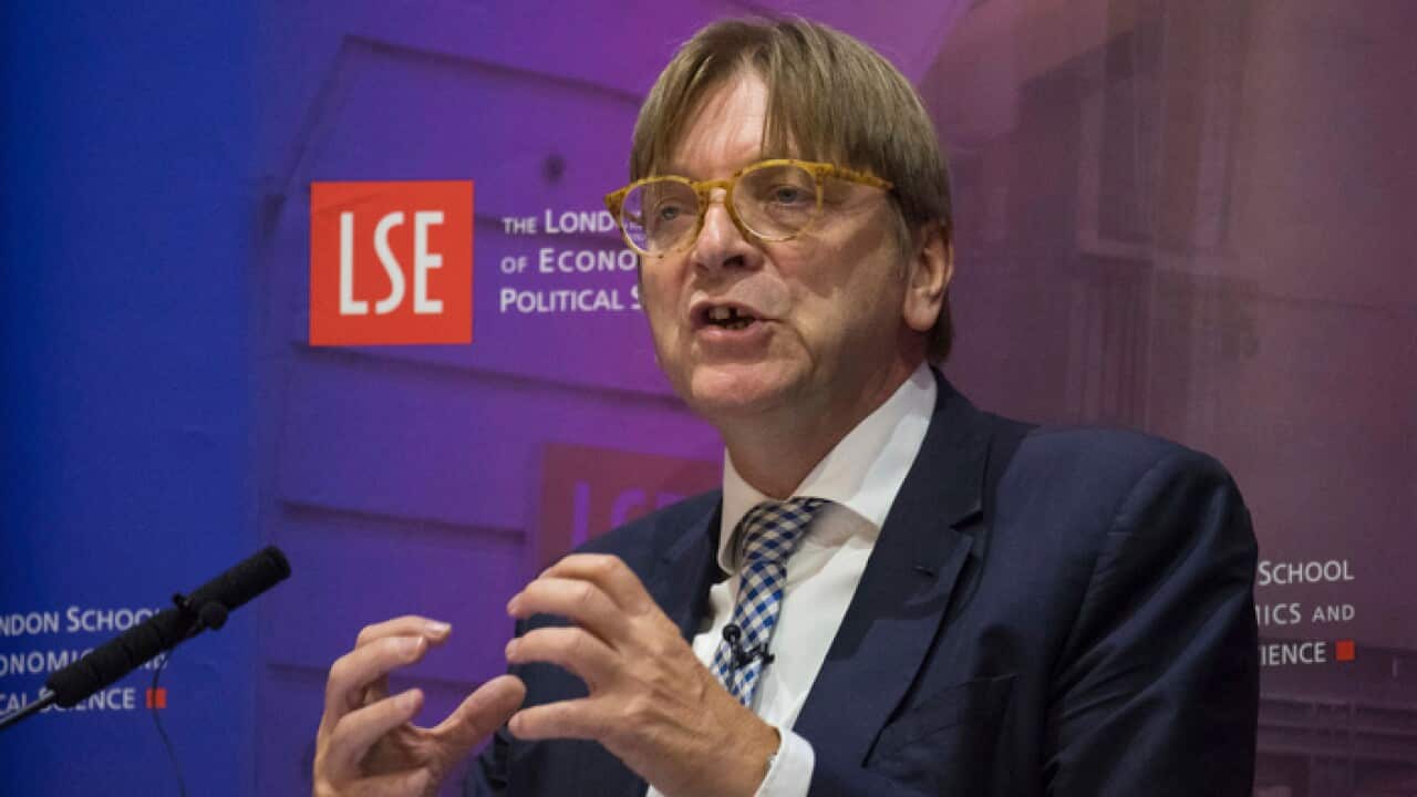 European Parliament Brexit coordinator Guy Verhofstadt