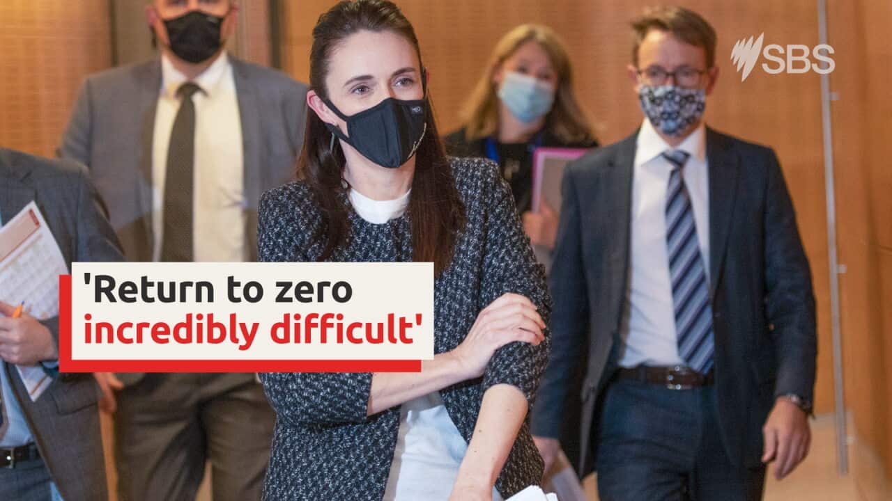 Ardern zero