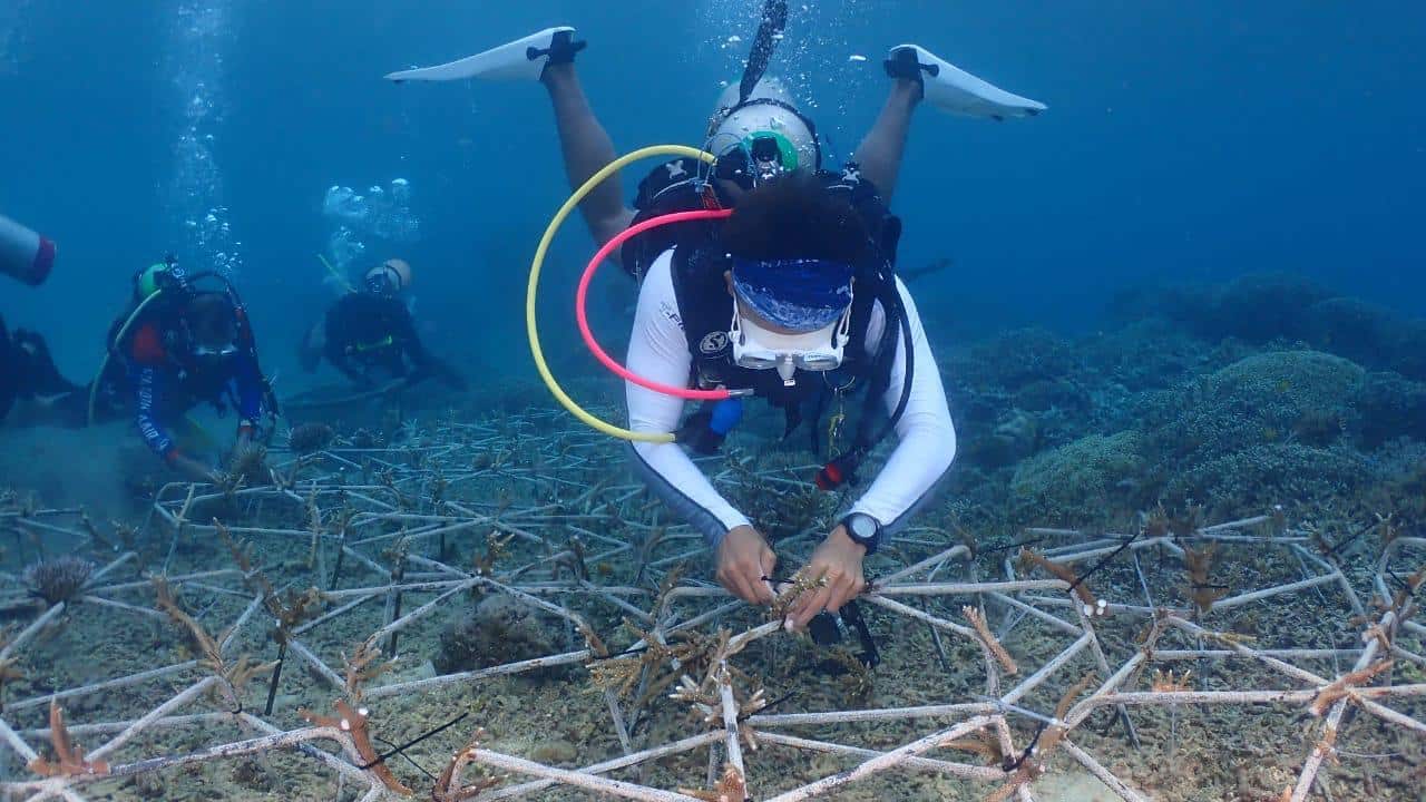 Agustinus Satrio Supoyo during a coral-restoration activity in Papua’s waters. Supplied_Agustinus Satrio Supoyo.jpg