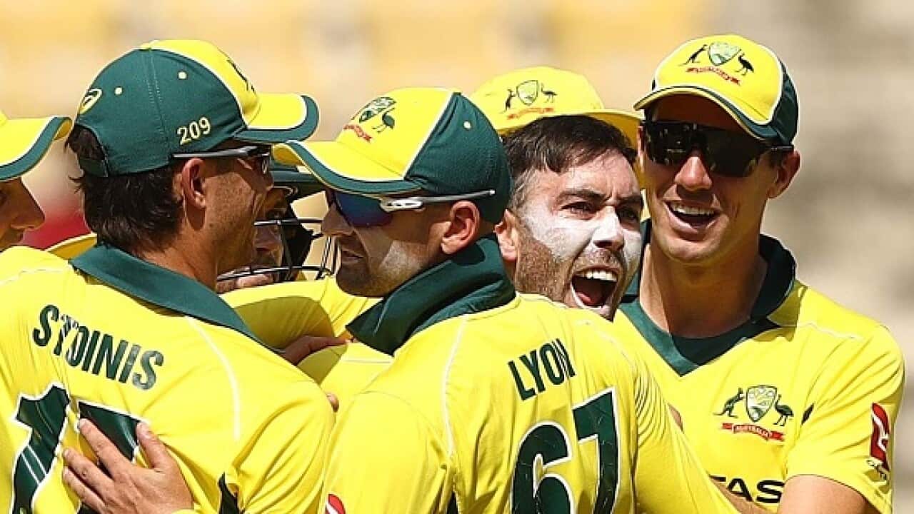 Australia players celebrate a wicket