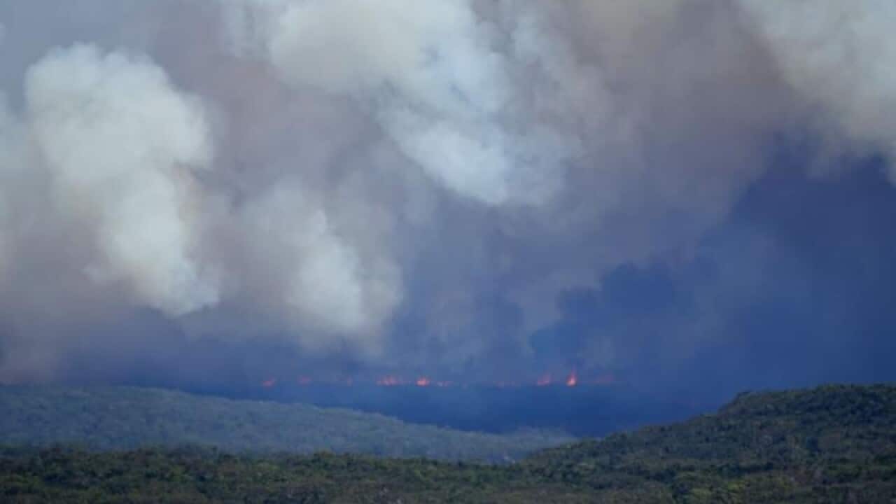 Sydney's Royal National Park will remain closed after a fire tore through bushland on Saturday.