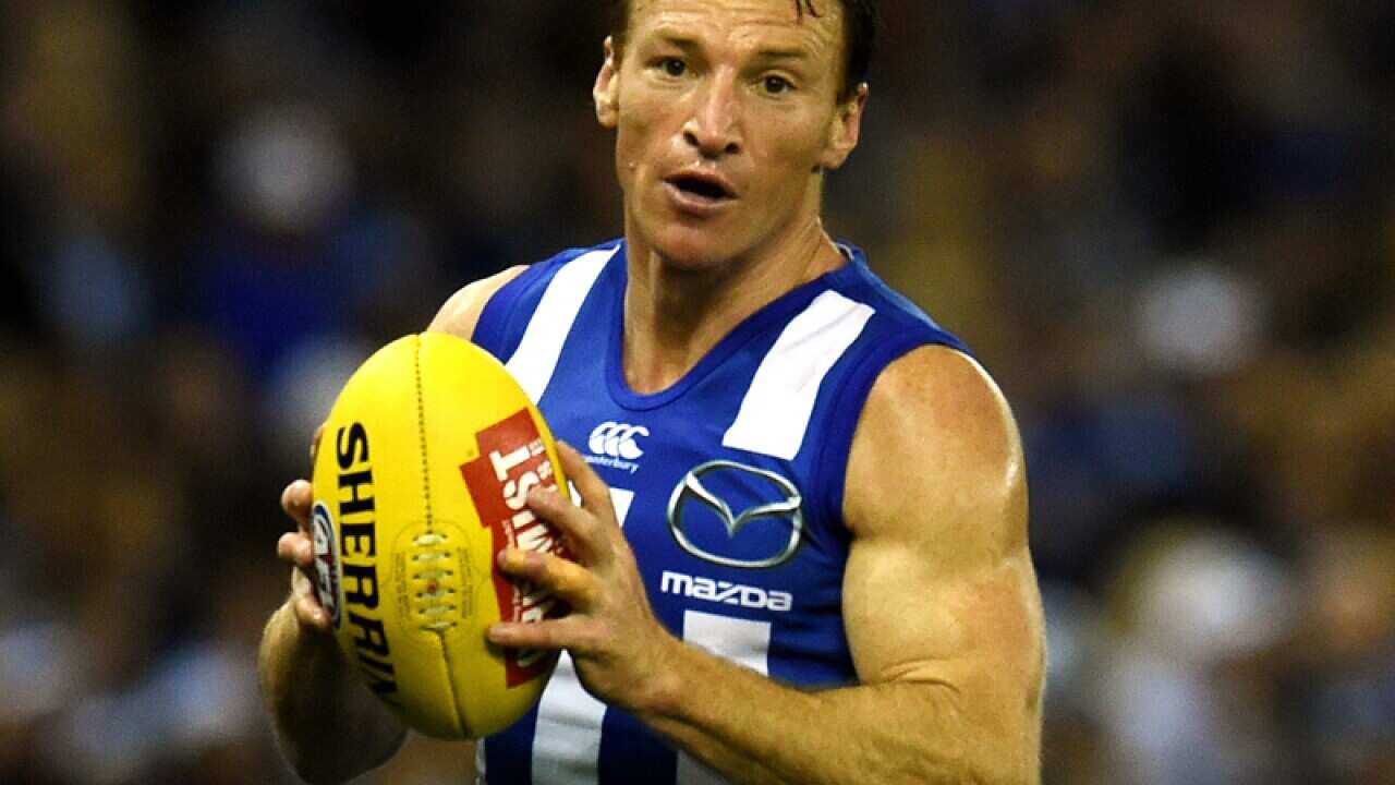 Brent Harvey of the Kangaroos