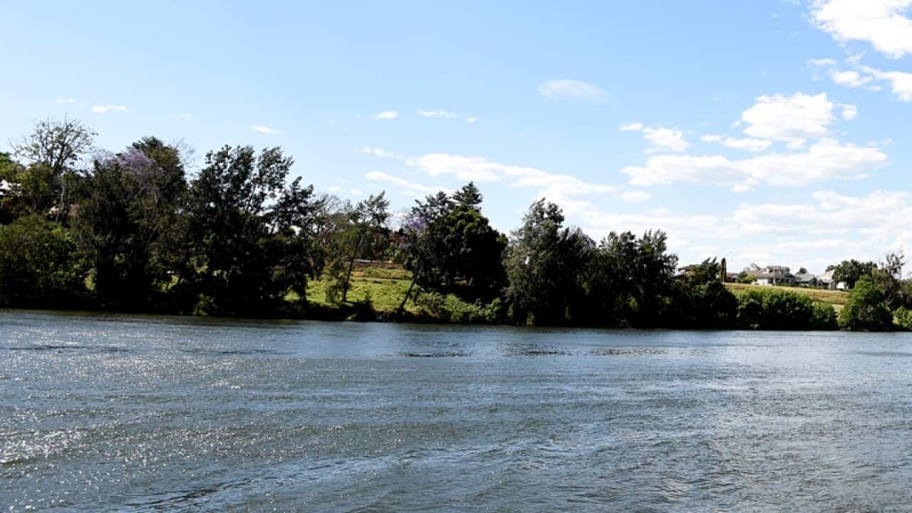 Local kids cool off in the Nepean River