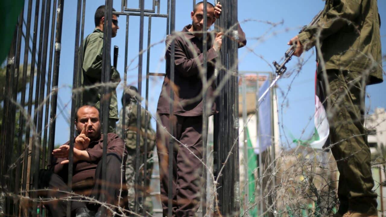 palestinian prisoners