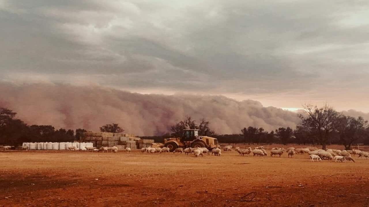 DUst storm