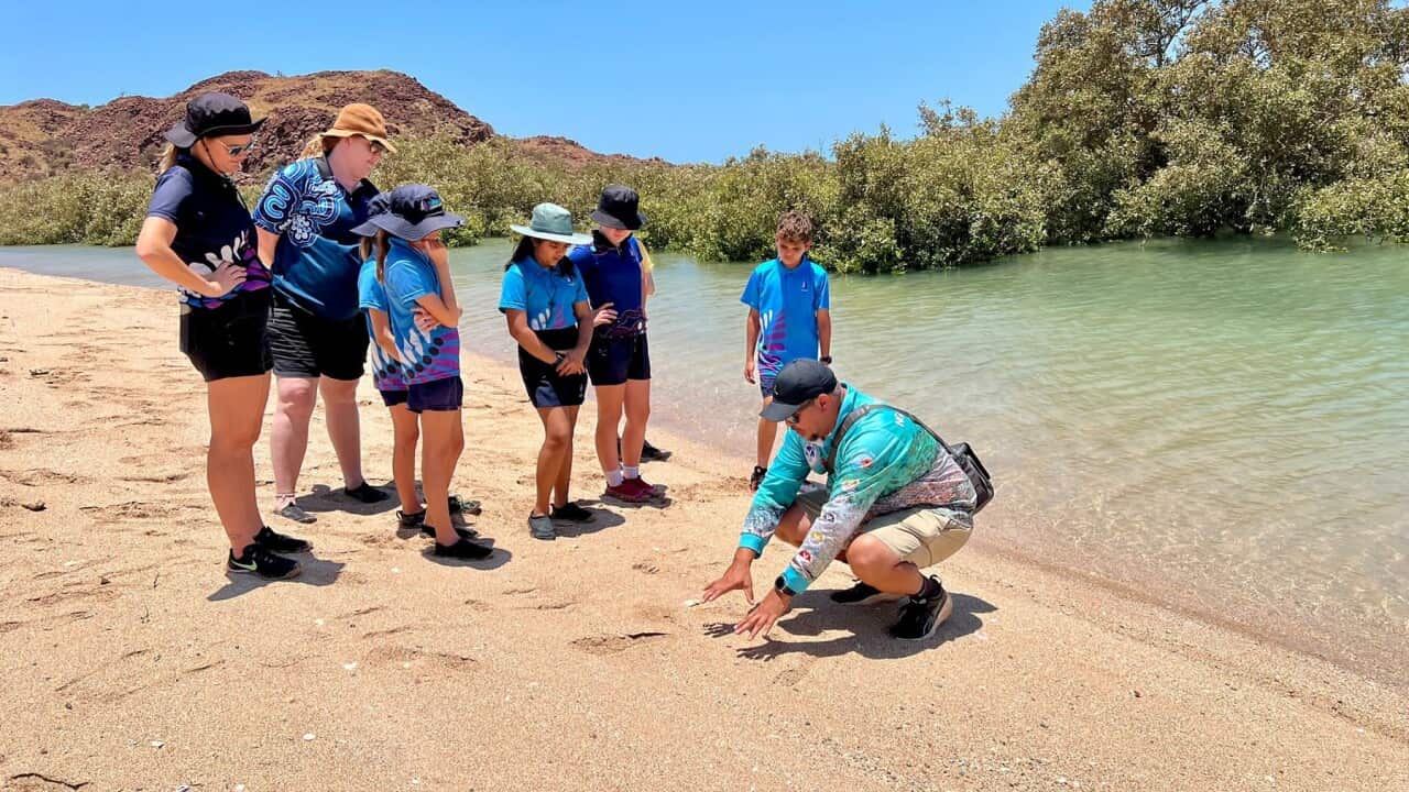 Students in Western Australia taking part in the CSIRO's Living Stem program (Credit Stella Gray-Broun ).jpg