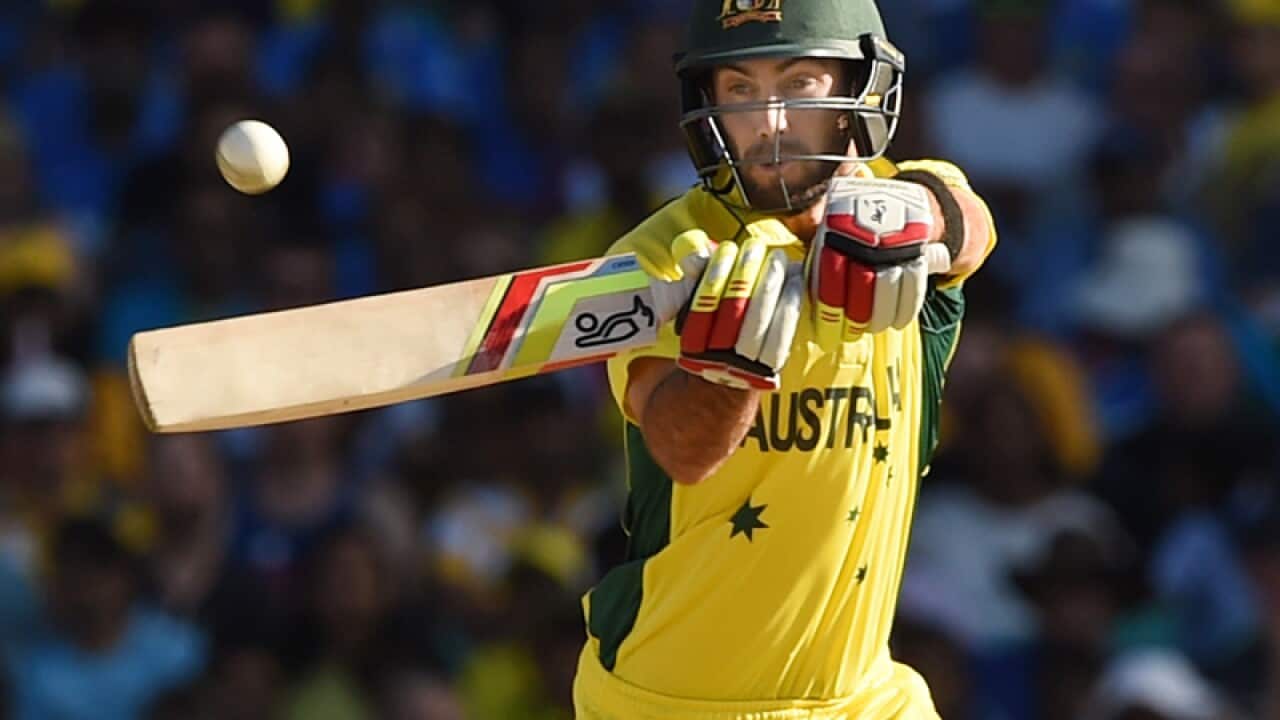 Australian allrounder Glenn Maxwell