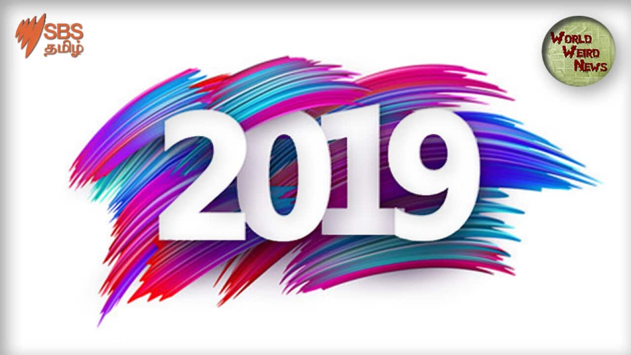 Year in Review: Odd News in 2019