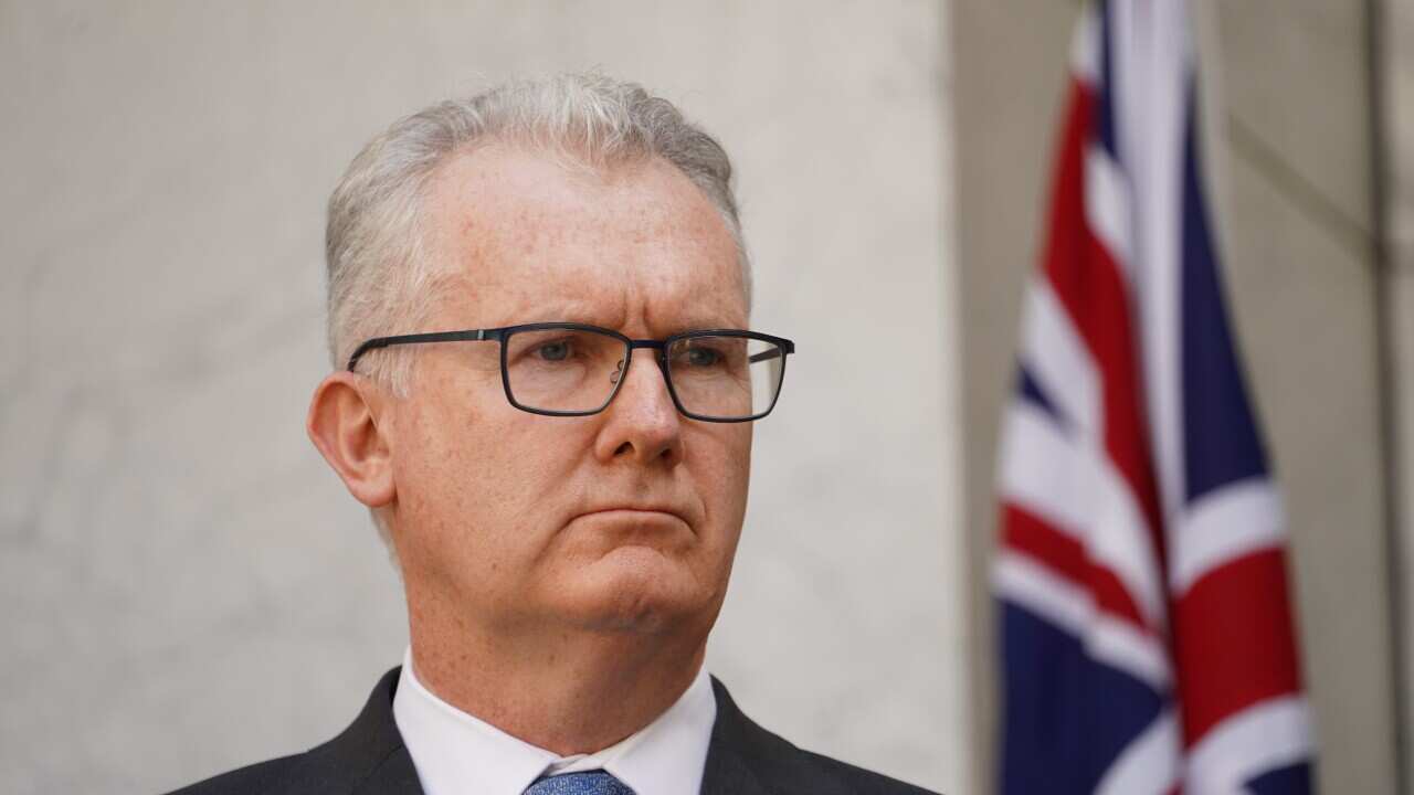 A man with white hair in a dark suit with a blue tie and glasses stands in front of the Australian flag.
