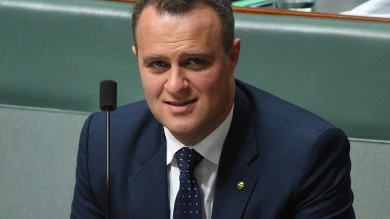 Liberal Member for Goldstein Tim Wilson