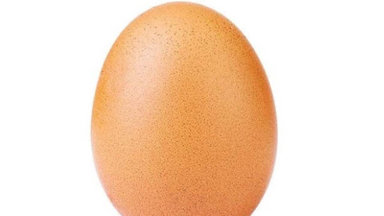 Egg that broke the internet