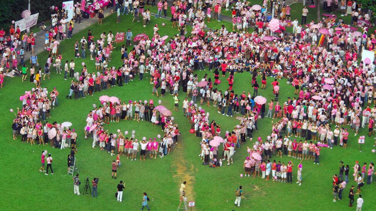 A Pink dot equality rally held in Singapore (AAP).jpg