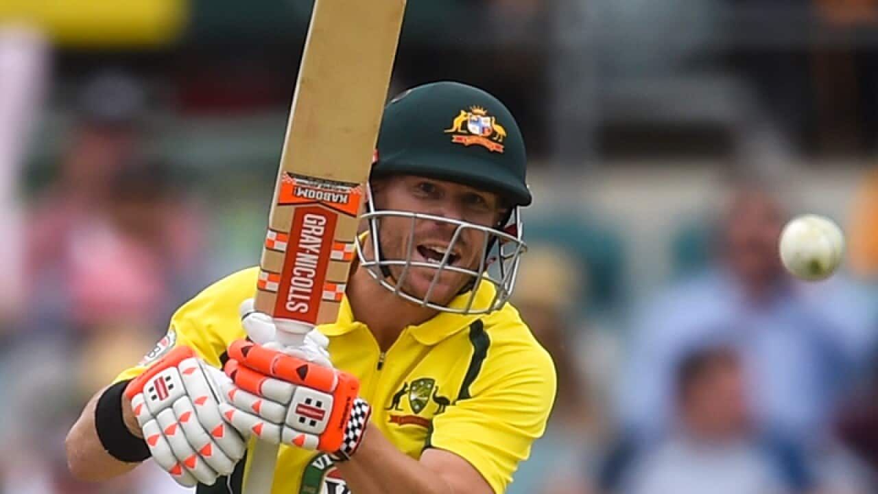 Batsman Dave Warner of Australia