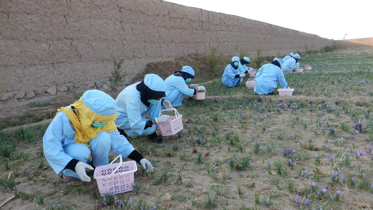 Image for read more article 'Potrebbe interessarti anche'