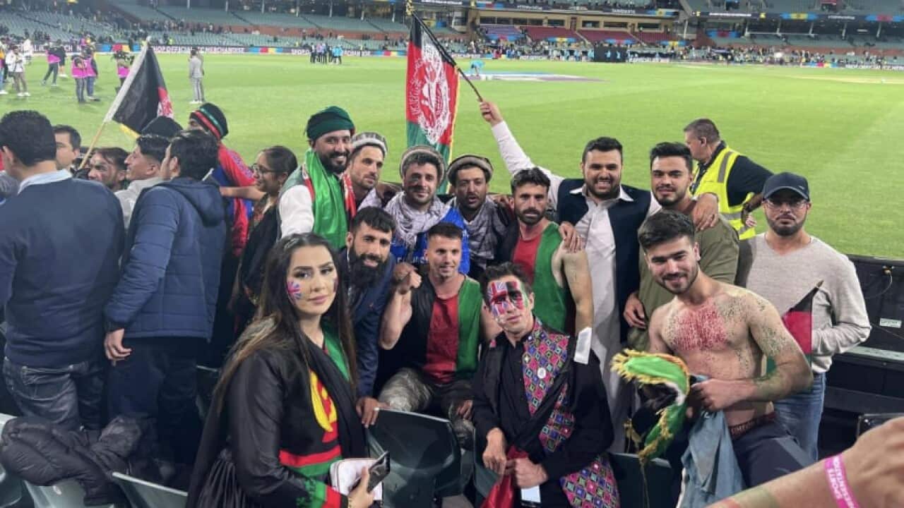 په آسټرالیا کې د کرېکټ ملي لوبډلې مینه