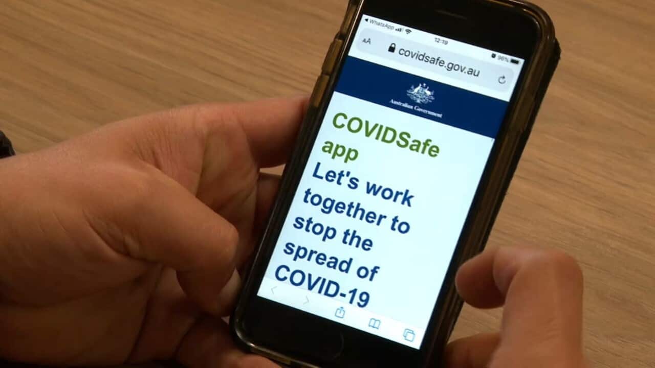 A close up of the government's coronavirus tracing app