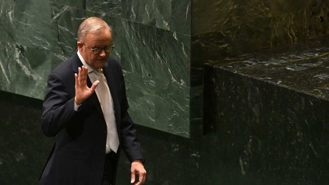 ANTHONY ALBANESE UNITED NATIONS