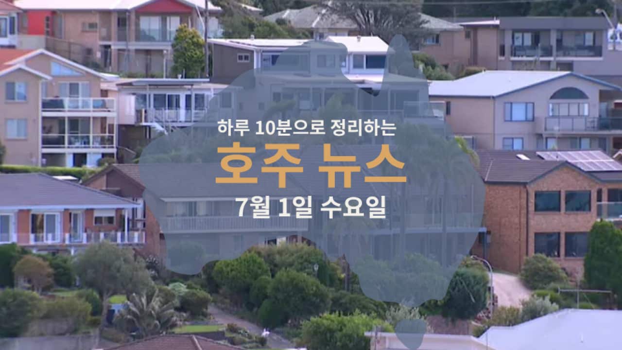 Daily News (2) (1).png