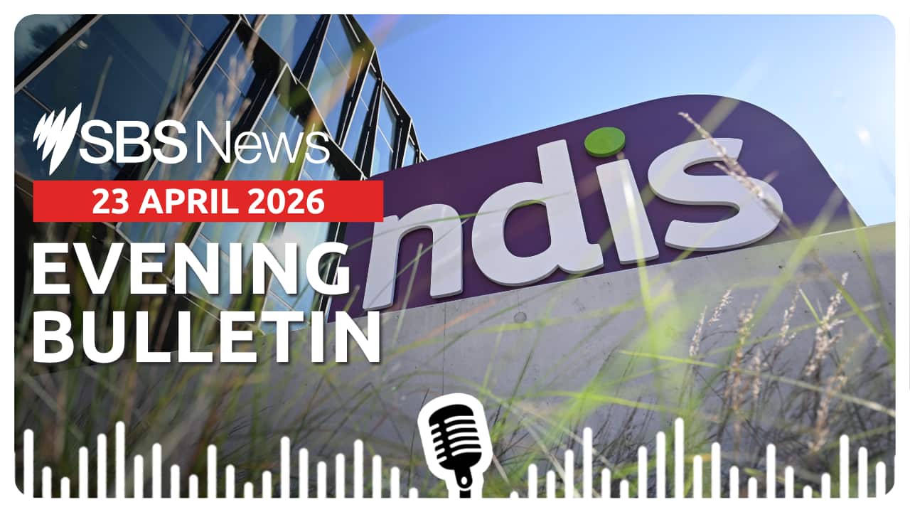 Afternoon bulletin image - 23 April 2026.png