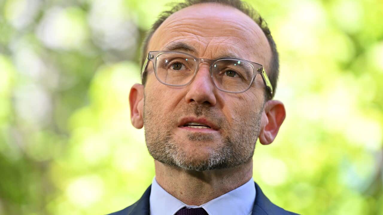 Greens leader Adam Bandt in Canberra