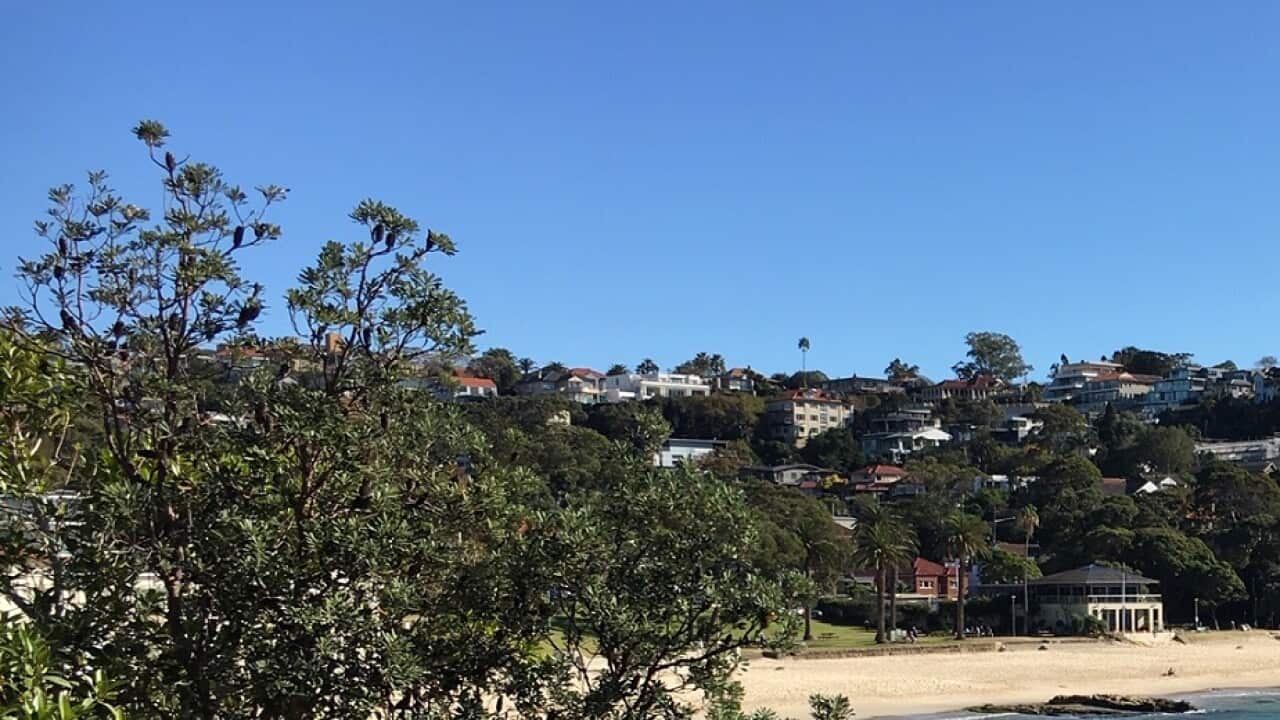 Clear Sydney skies due to reduced carbon emissions