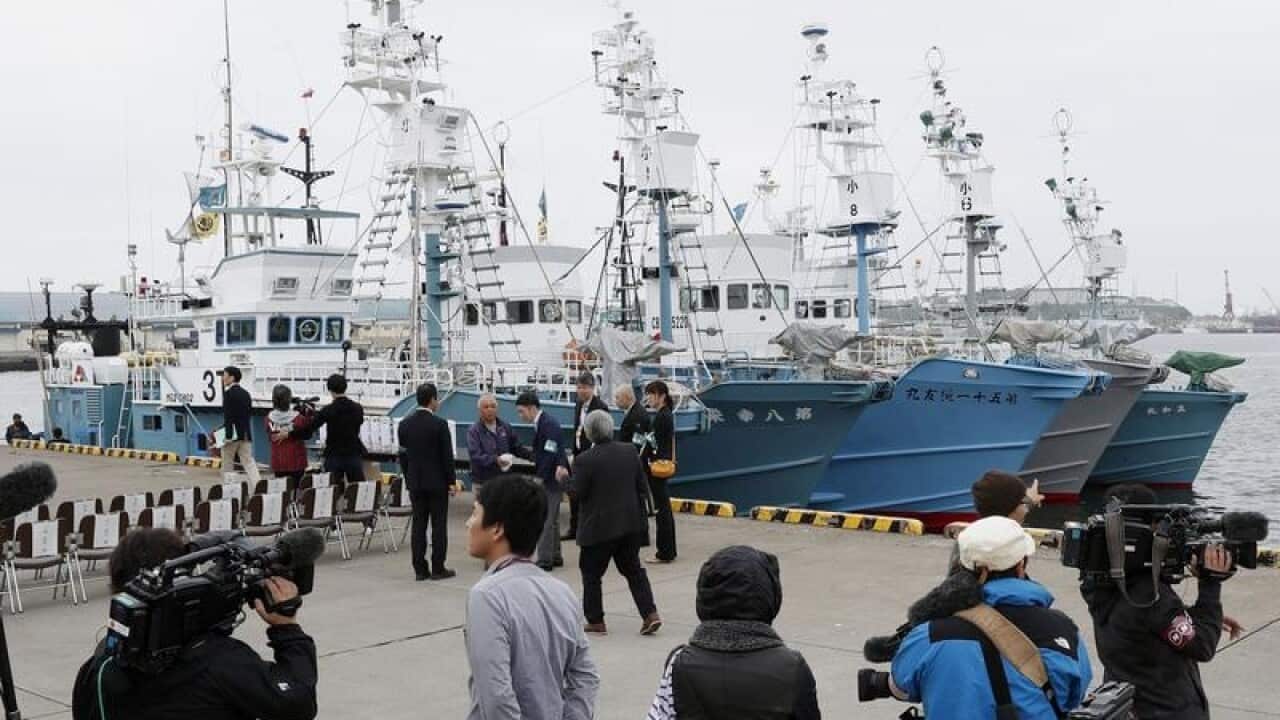 Japan's whaling fleet embarks on its first commercial hunt since 1988.