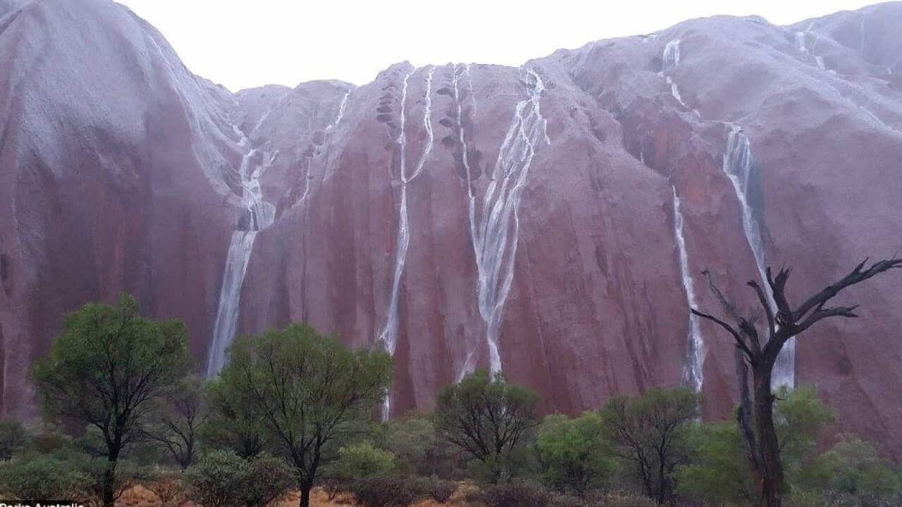 Heavy rain has created a series of water courses on Uluru.