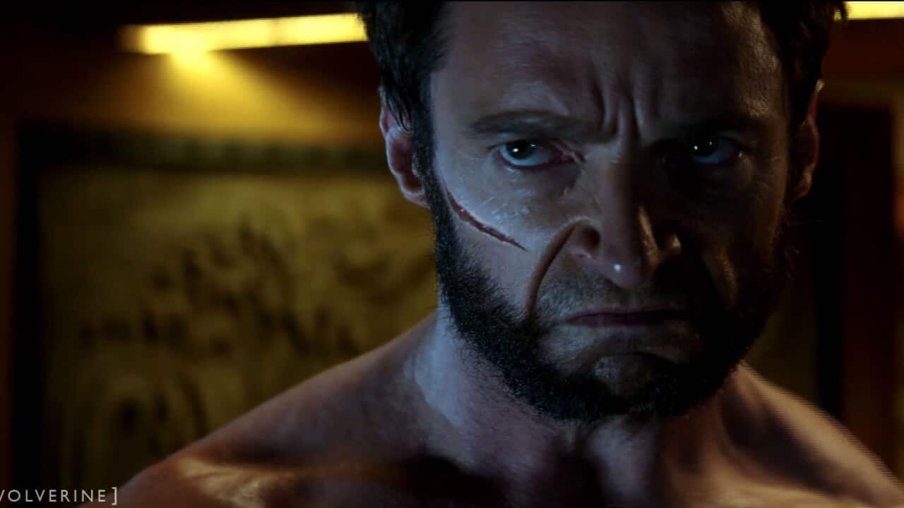 Wolverine
