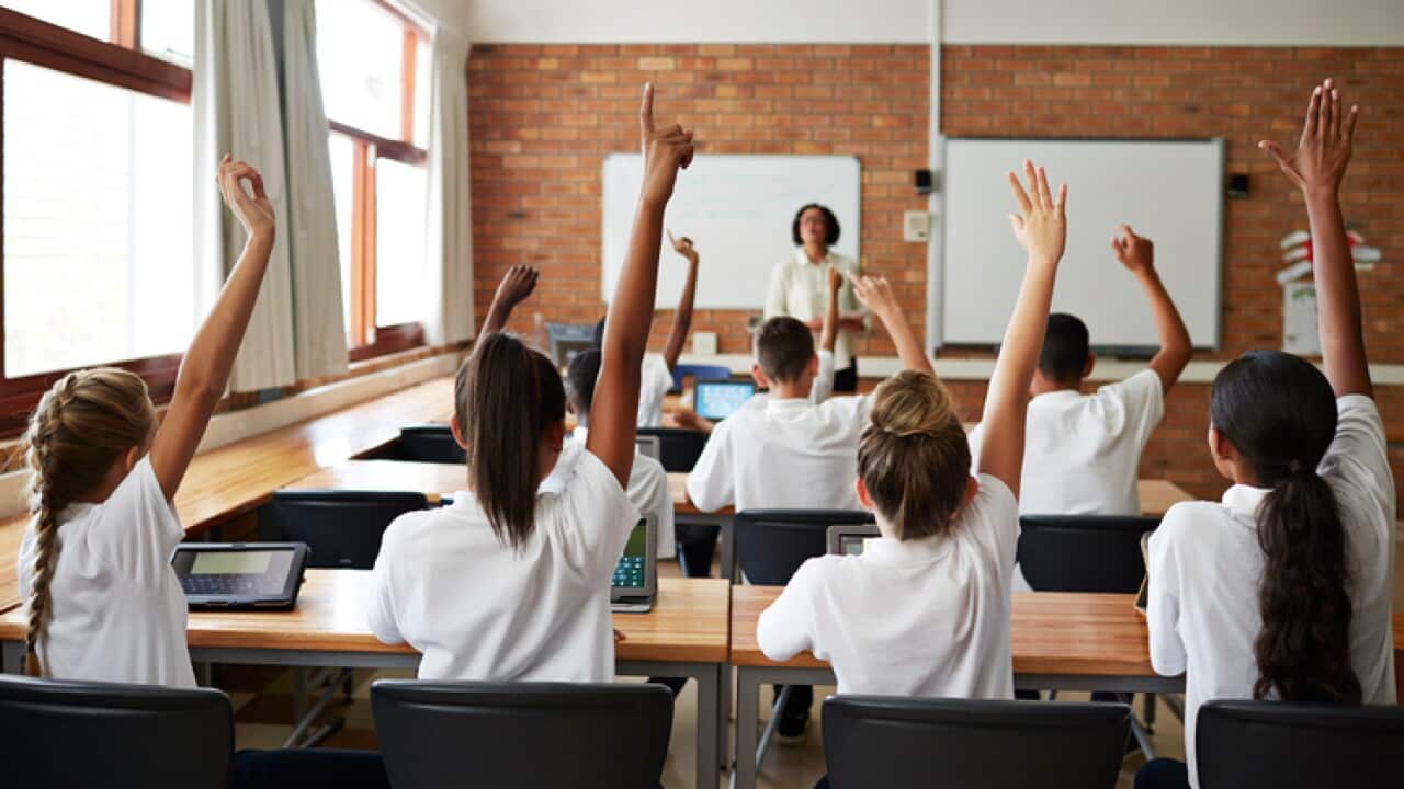 Back view of schoolclass with raised hands