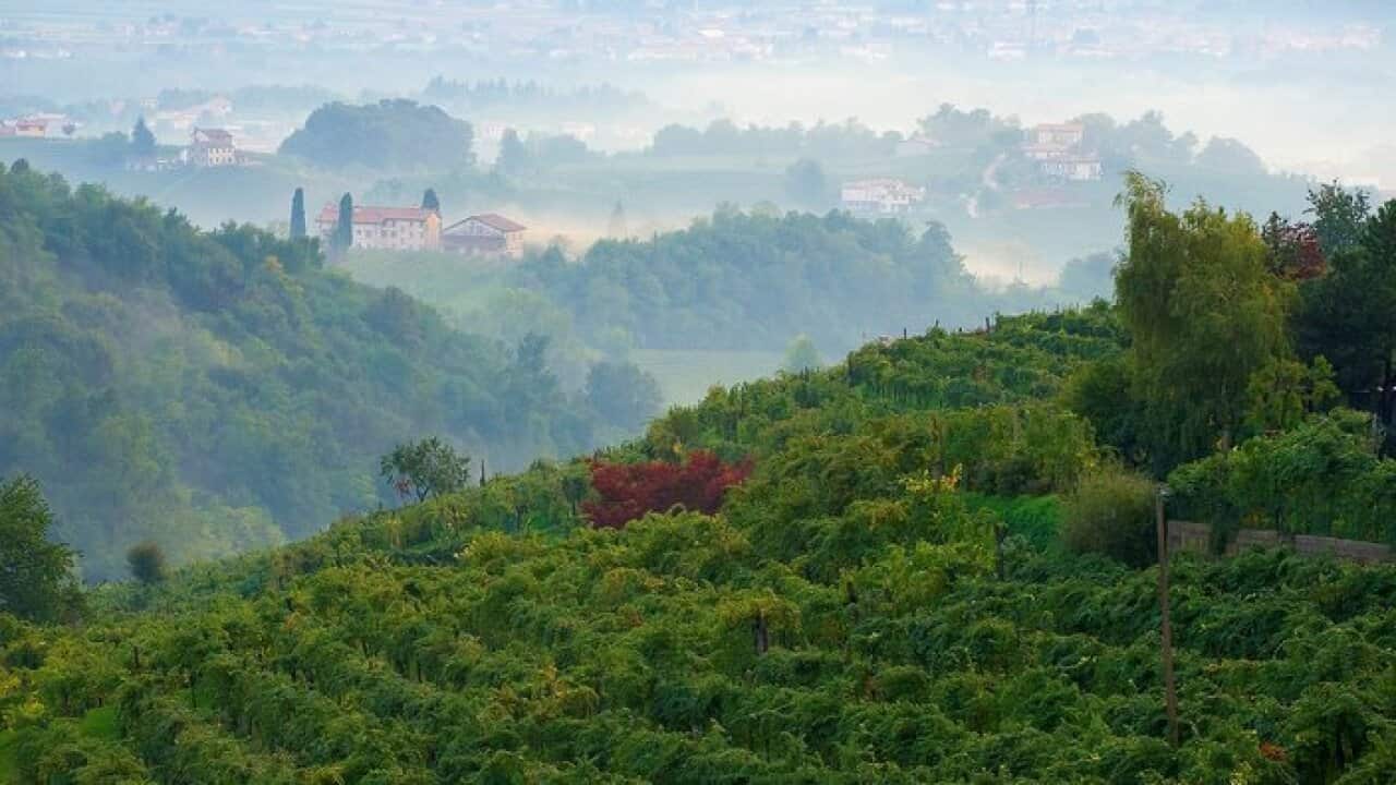 Image for read more article 'Potrebbe interessarvi anche'