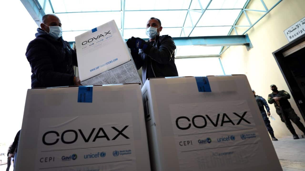 Boxes of COVID-19 vaccines (Xinhua - Ayman Nobani via Getty Images)