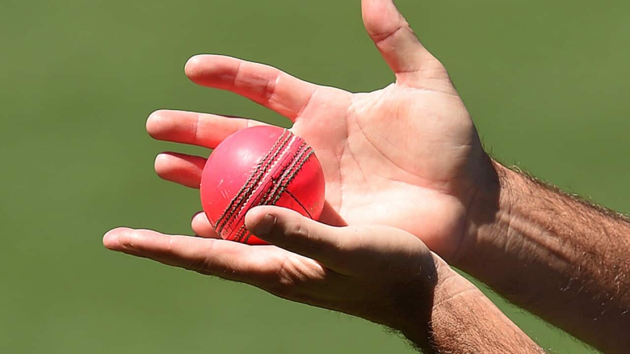 A pink ball used in the day-night cricket Tests