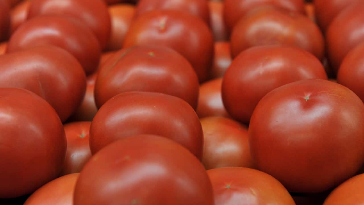 Tomatoes