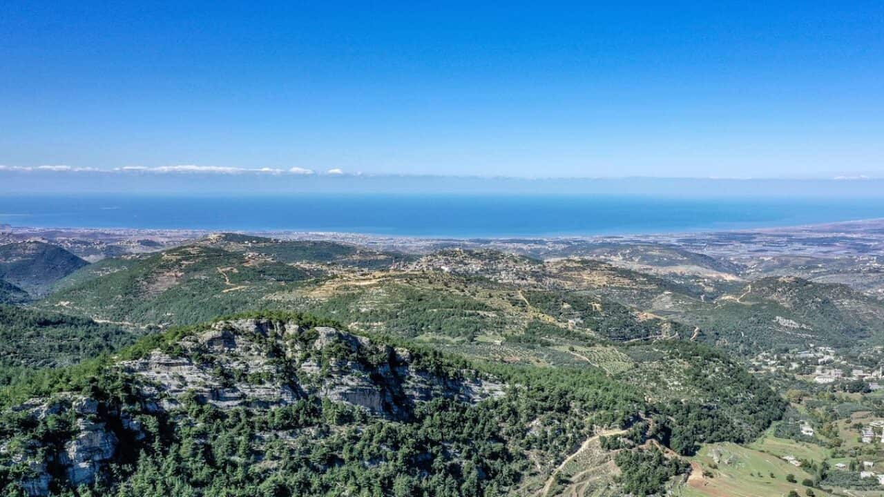 Image for read more article 'READ MORE'