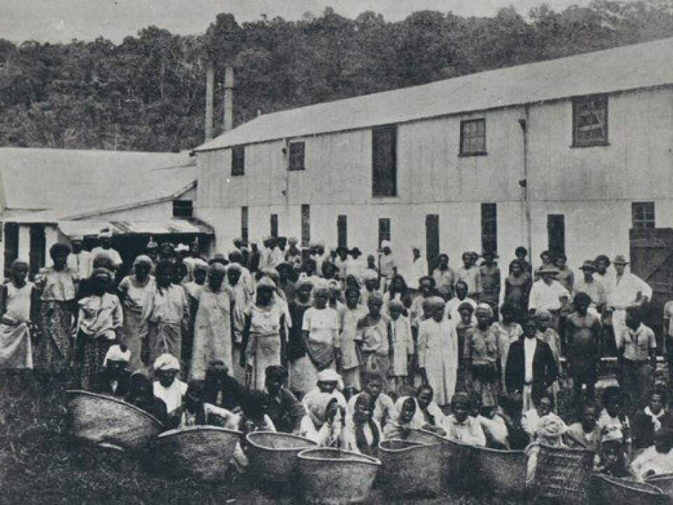 Fijimuseum_2.jpg