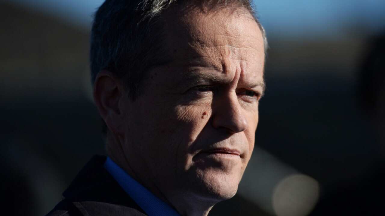 Leader of the Opposition Bill Shorten